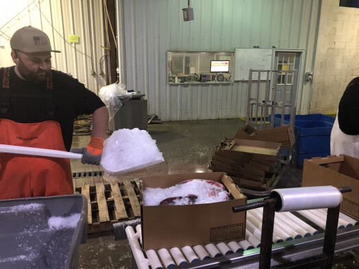 Shafer Fisheries